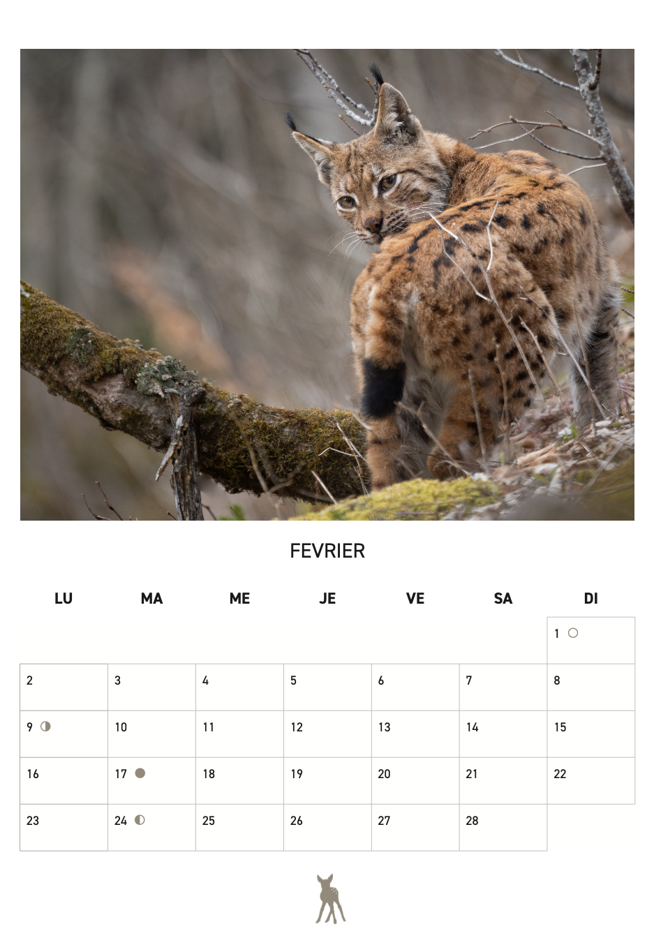 Calendrier 2026 - SFJB – Image 2