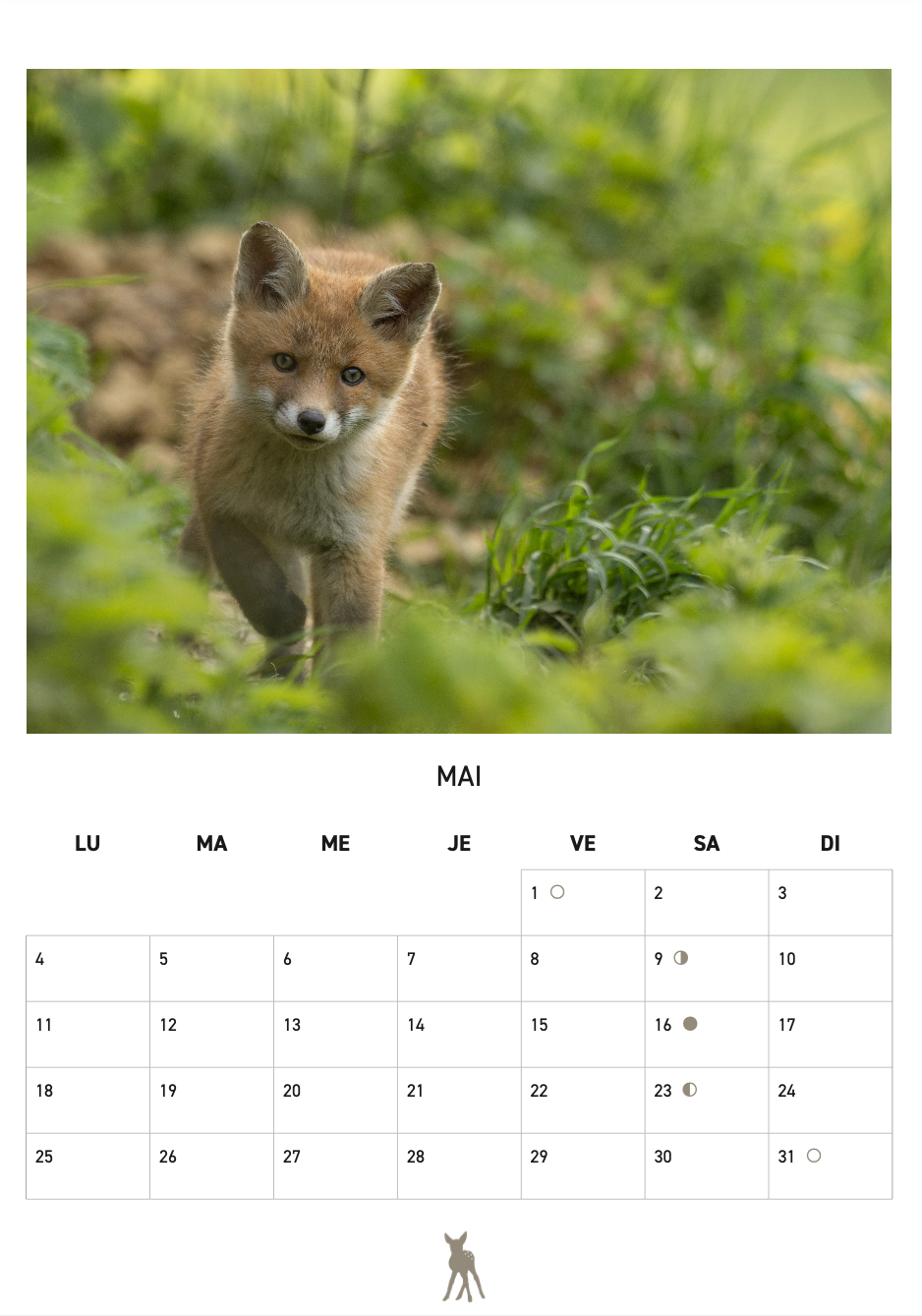 Calendrier 2026 - SFJB – Image 4