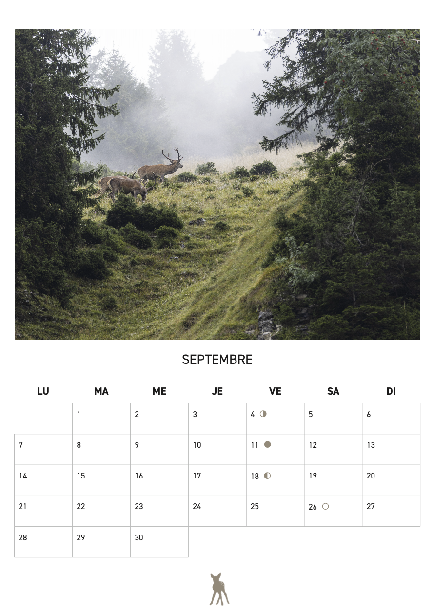 Calendrier 2026 - SFJB – Image 6