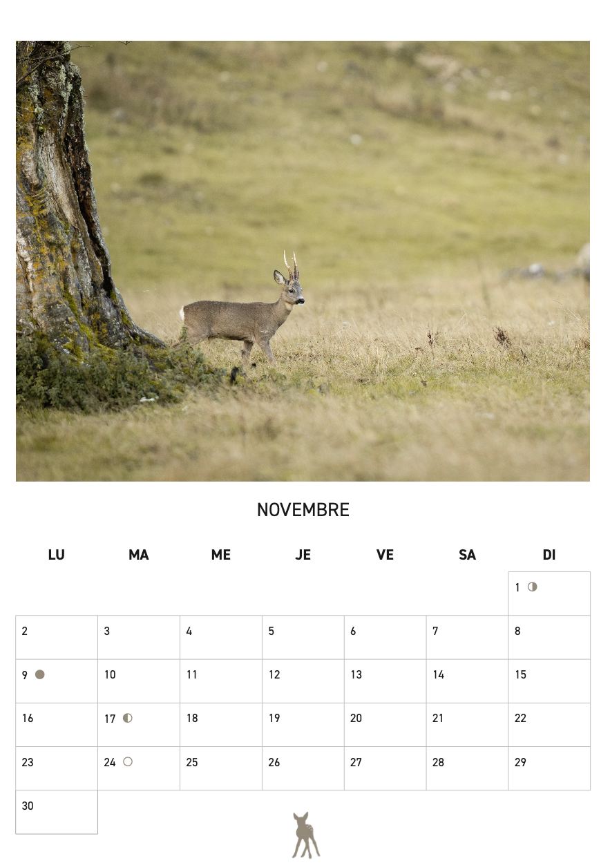 Calendrier 2026 - SFJB – Image 7