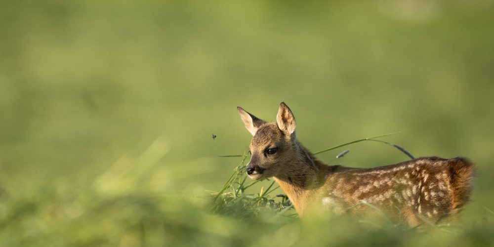 @NilsKunzli_IMG_8349